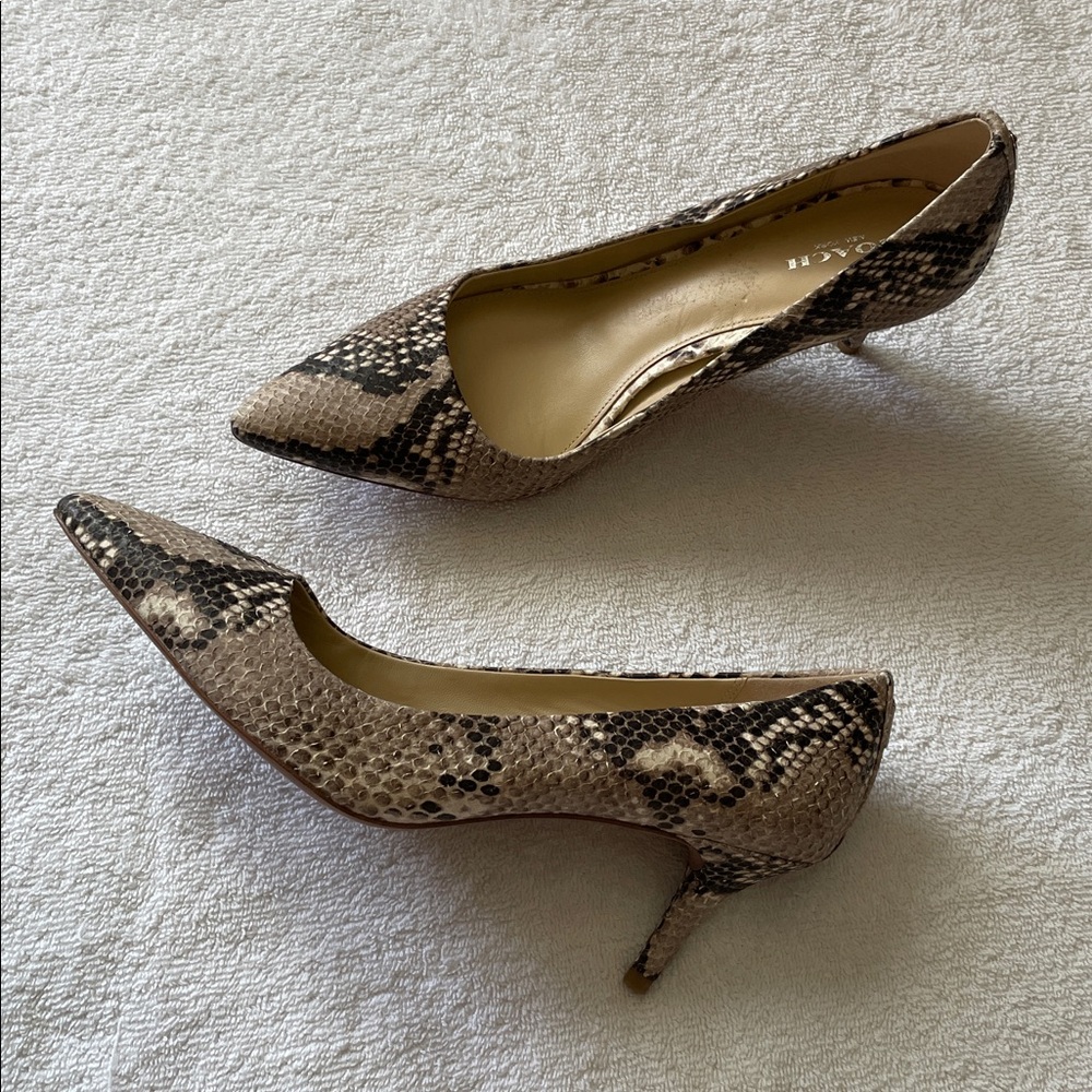 Coach Python Leather Pointed Toe Kitten Heels NWT - image 11